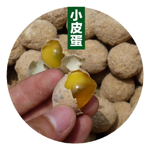 漯河鹌鹑皮蛋 河南特产鹌鹑小变蛋120枚/箱