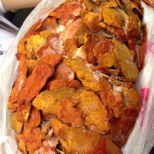 台北樟木 新鲜牛樟芝牛樟菇
