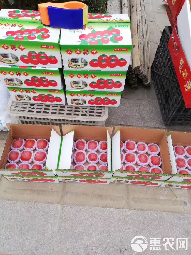 临潼火晶柿子一箱装支持自提西安市内量大可免费送货量大从优
