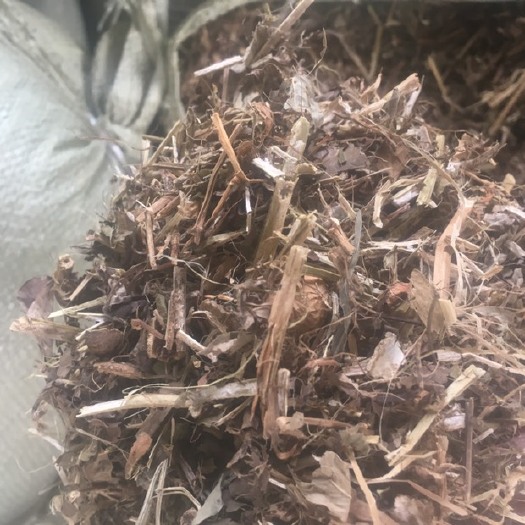正阳县花生秧