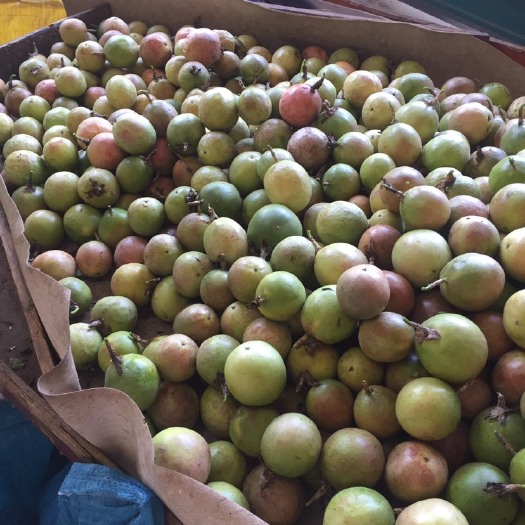  廣西百香果次果奶茶店專用優(yōu)惠