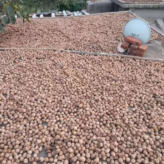 迁安市 清香核桃