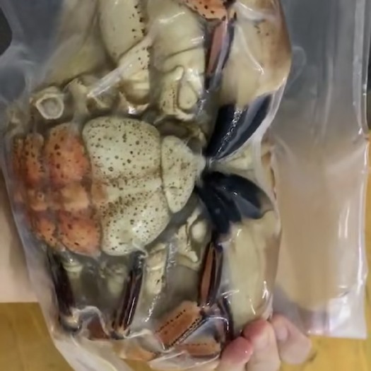 深圳 熟冻面包蟹