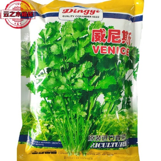 淮安香菜种子 意大利安瑟米香菜种籽速生高芽率大叶耐热耐抽苔芫荽种子