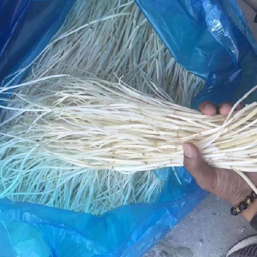 宜兴市 夏芹，芹芽，冬芹，一年四季供应，