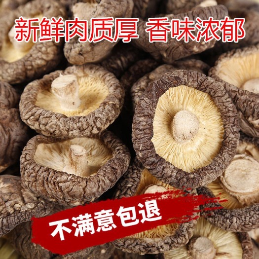  香菇干货特级干香菇500g新货野生蘑菇冬菇无根土特产山货散装
