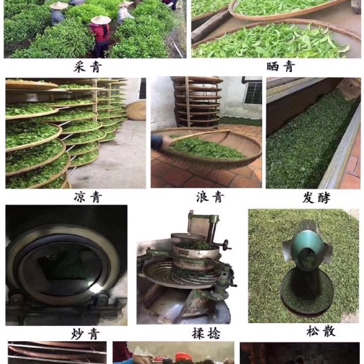 深圳单枞茶 绿色生态，无污染.剂！