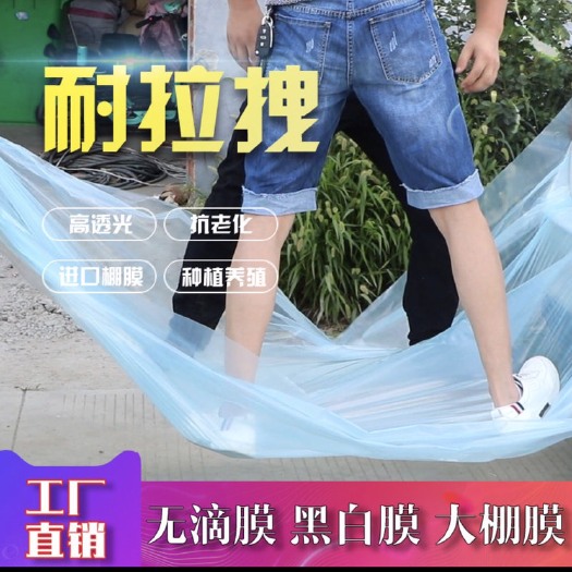 沭阳县长寿流滴膜 大棚膜无滴膜2-20米宽包邮