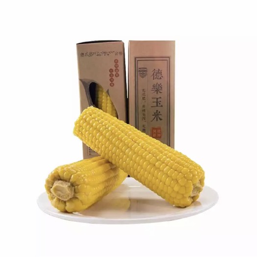 深圳甜糯玉米种子 玉米中的精品