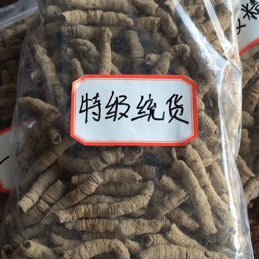 德庆县优选巴戟天抽心巴戟天干货批发零售广东德庆原产地直销货源充足