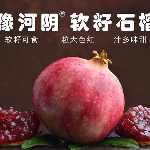 荥阳市 河南荥阳高村河阴软籽石榴突尼斯软籽石榴