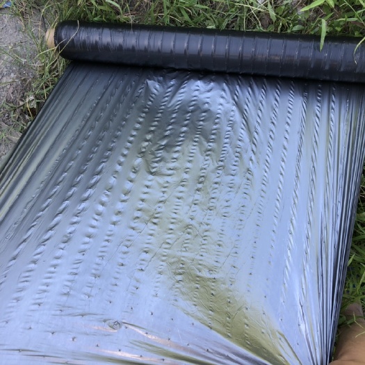 博罗县聚丙烯地膜 果园果树双色针孔银黑地膜反光除草防虫保湿农用薄膜散热透气地膜