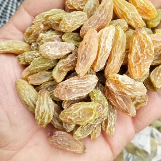 成都无核葡萄干 一等