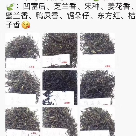 深圳凤凰单丛 ，无污染，剂！农家自制，品质有保证