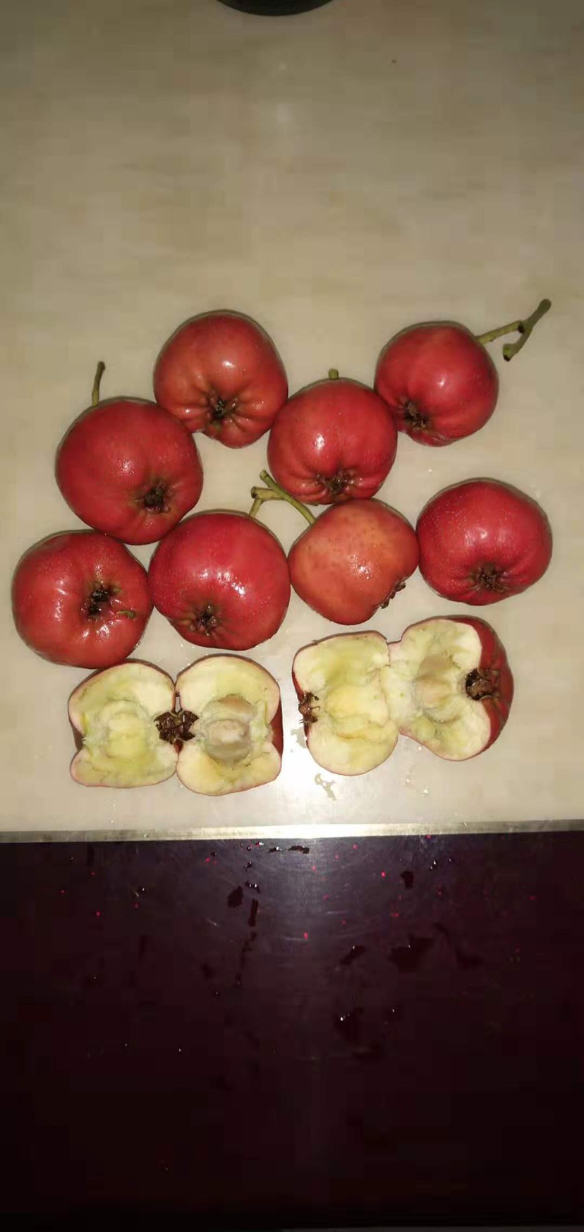  大五棱、棉球、大金星山楂