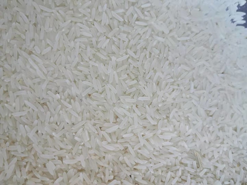 野香优莉丝稻谷  野香优莉丝，晚稻