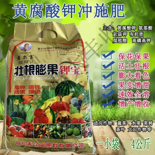 潢川县 膨果钾宝 氨基酸桶装冲施肥 高钙高钾高糖葡萄草莓膨果狮克水溶