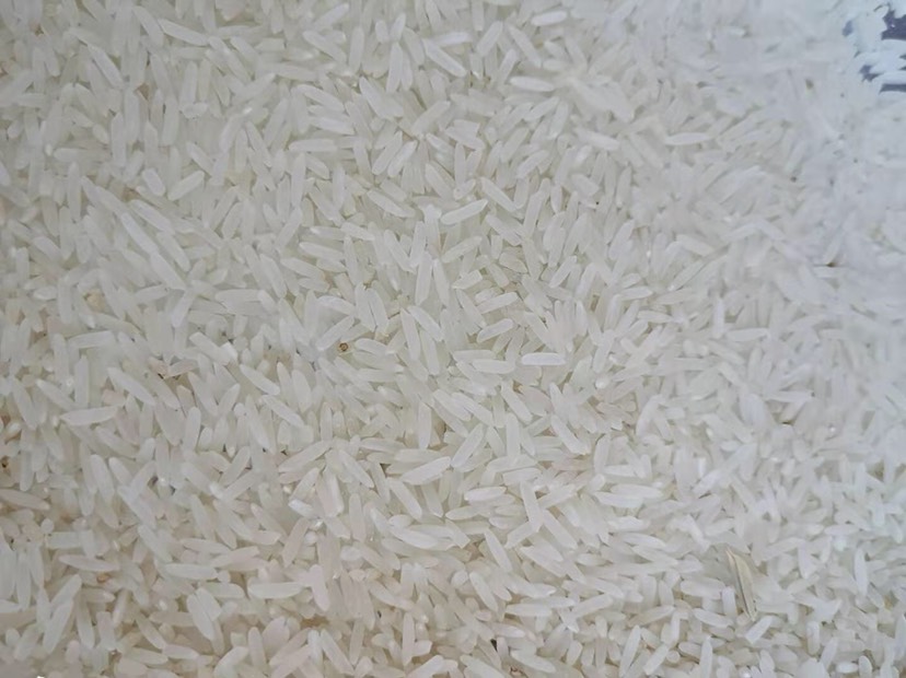 野香优莉丝稻谷  野香优莉丝，晚稻