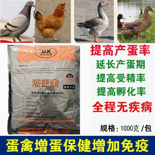  2斤增蛋宝蛋鸡宝增蛋素鸡鸭延长产蛋期增加产蛋饲料添加剂