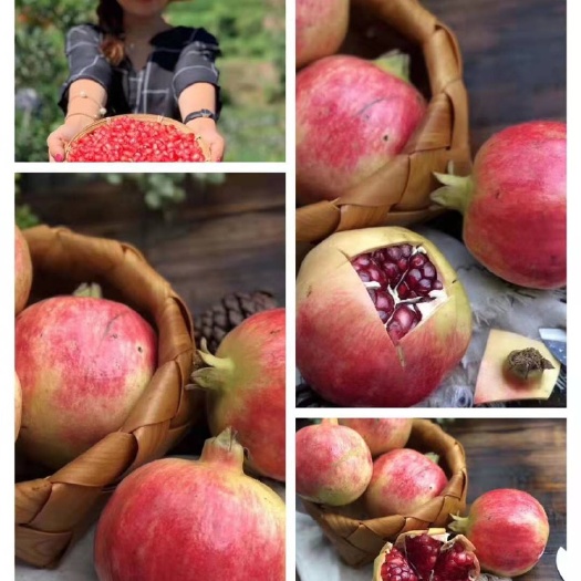 会理市会理石榴 不管电商，微商，需要任何货，都可以哈，也接受一件代发！货美美