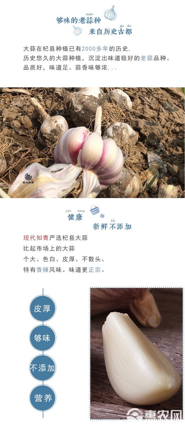  河南杞县特产农家干大蒜头自种蒜头干蒜5斤