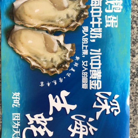 漳浦县防城港生蚝 3-4两/只 人工养殖