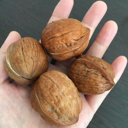 秦皇岛薄皮核桃 26~30mm 去皮 箱装