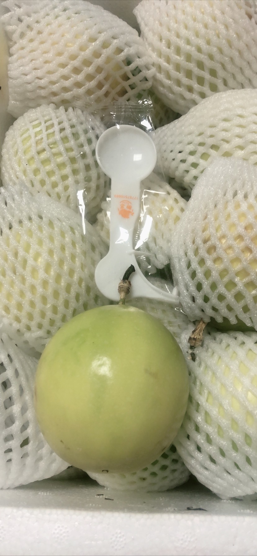 巴乐百香果 90-150