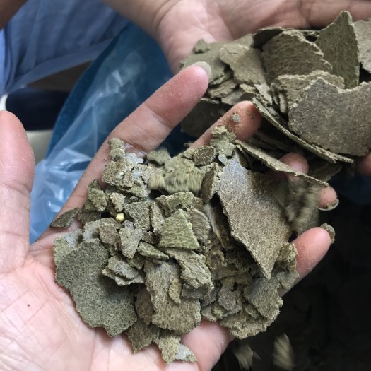 漳浦县菜籽饼肥料 青枯