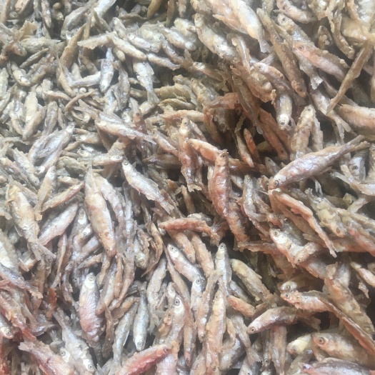 天峨县干炸小公鱼 白肖面粉油