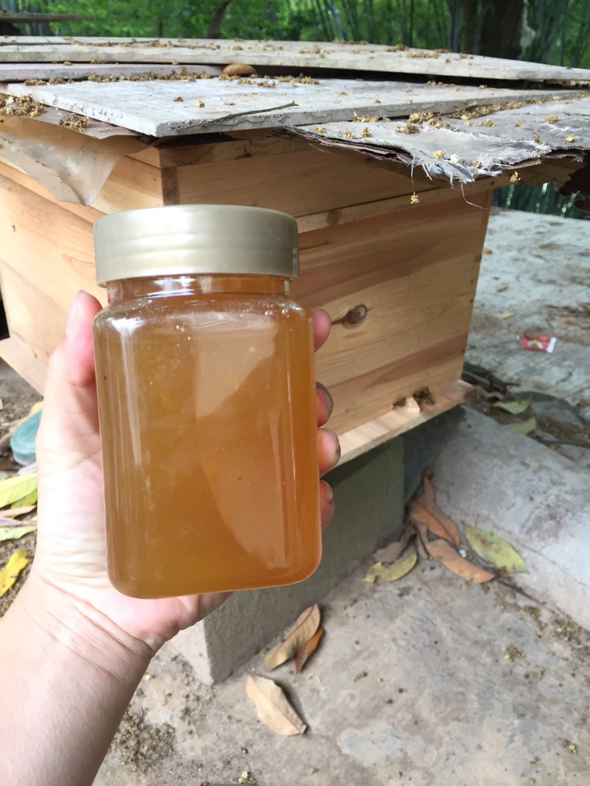 土蜂蜜  春蜜冬蜜野外蜜，全为中蜂蜜，不是意蜂