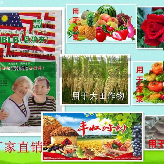 潢川县有机水溶肥 氨基酸肥料 恩碧来多肉缓释肥蔬菜水果花卉果树通用型植物花肥叶面肥
