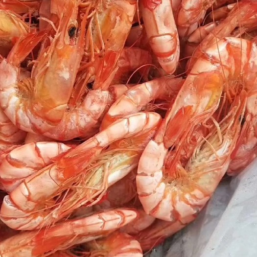 深圳 大对虾干