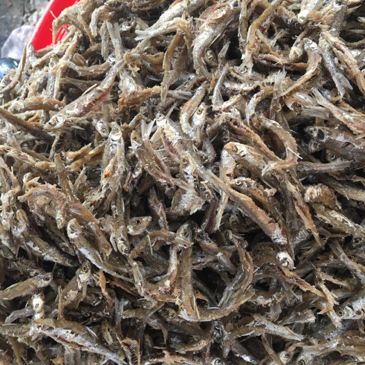 天峨县干炸小公鱼 新鲜加工开肚加盐腌油炸白肖鱼