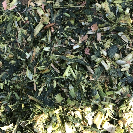 玉田县青贮类饲料