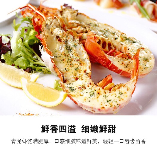 阳江越南青龙虾  船冻新鲜青龙，一只0.8-1斤重，价格美丽，量大从优！