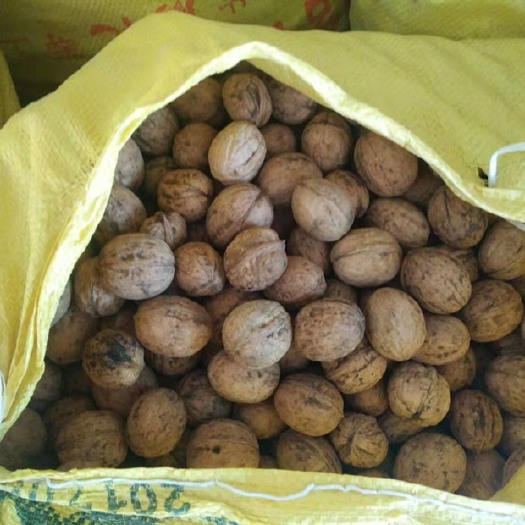西安 陕西纸皮核桃，新疆纸皮核桃