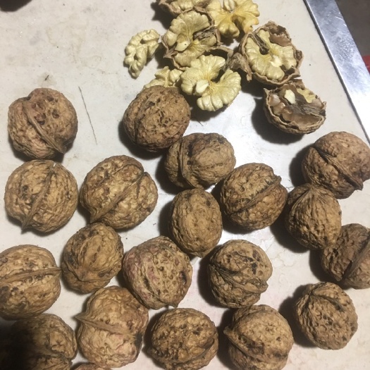 凤庆县云南核桃 去皮 袋装 45mm以上