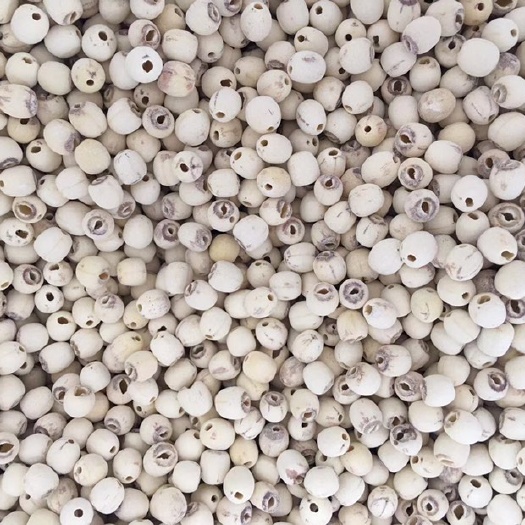 深圳磨皮莲子 特级 95%-98%