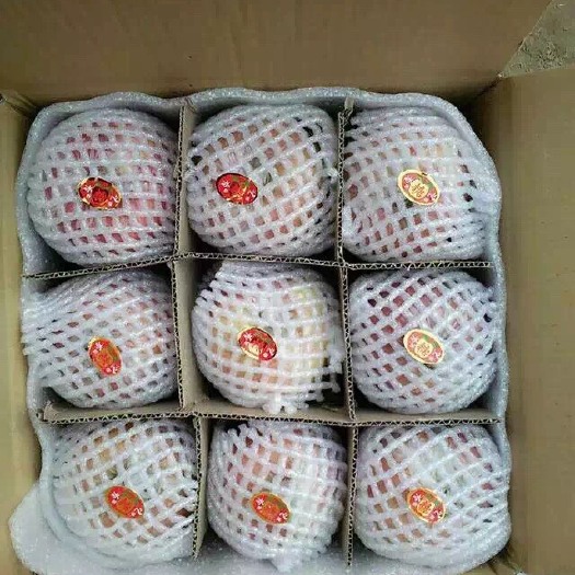 运城苹果  专业对接水果店，持续供货商超