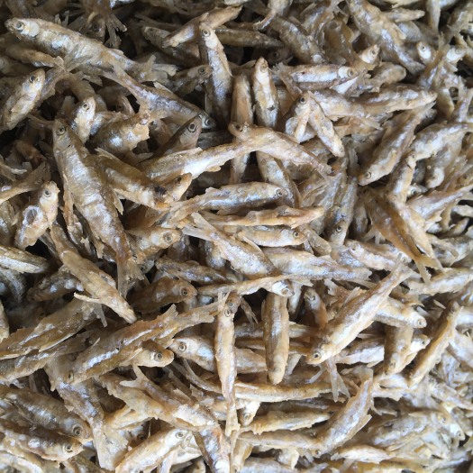 天峨县干炸小公鱼 新鲜出炉的面粉油炸白肖鱼
