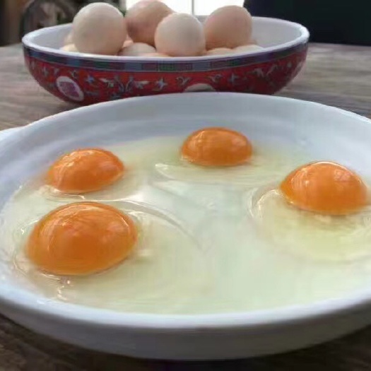 诸暨市 土鸡蛋批发，48斤到50斤420一箱360枚装