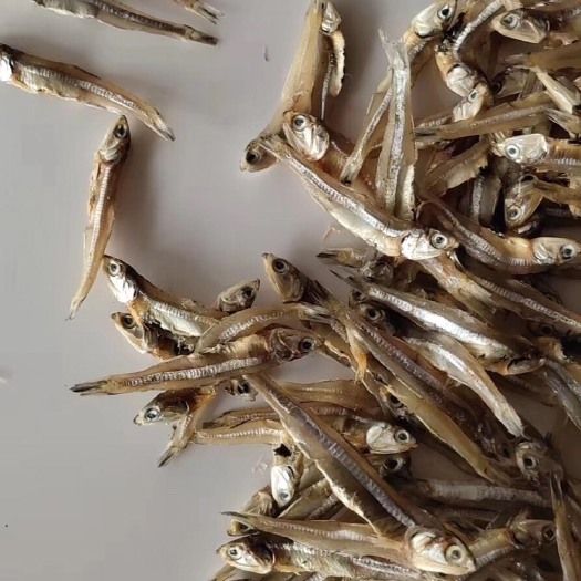 广州小鱼干