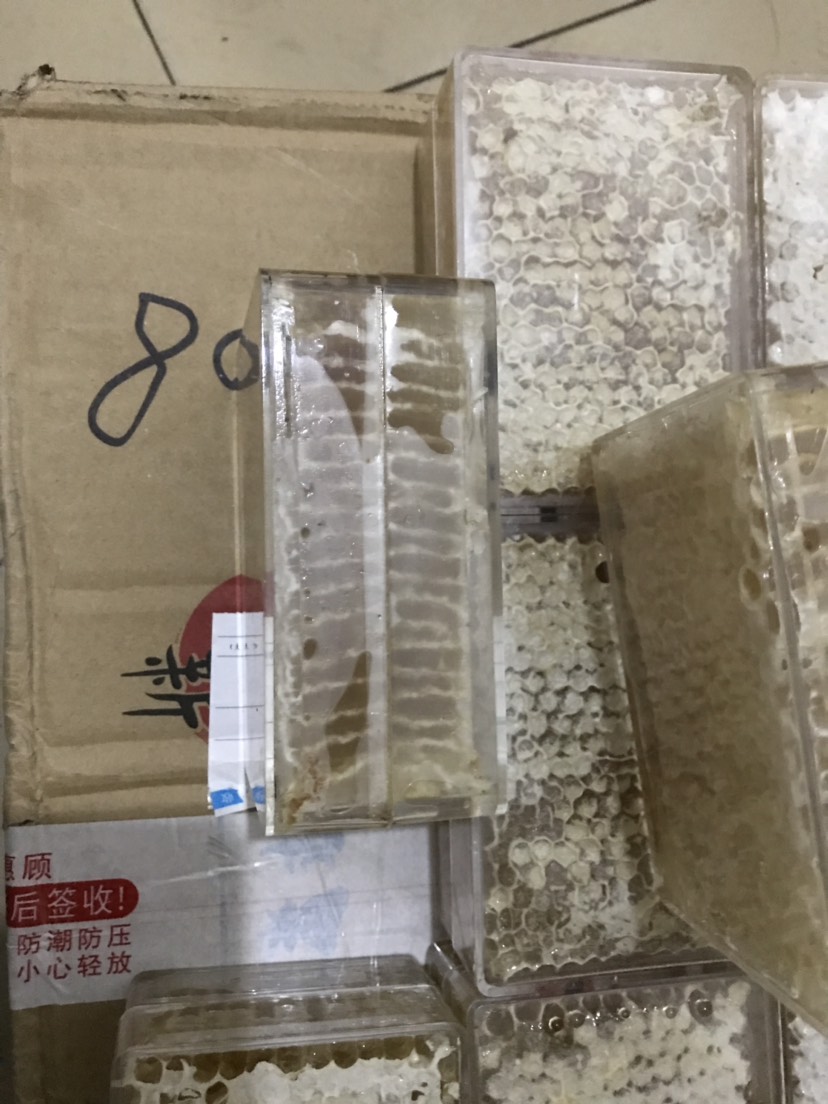 蜂巢蜜 盒装 1年 98%