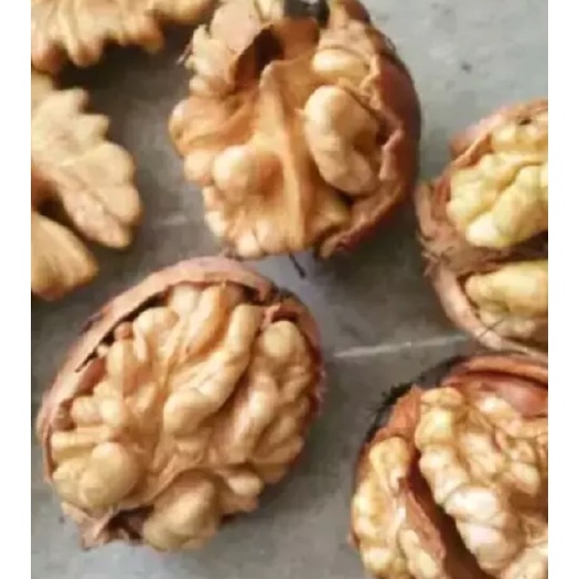 重庆市 新彊核桃