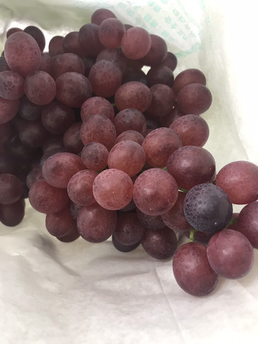 红宝石葡萄 5%以下 1次果 1.5- 2斤