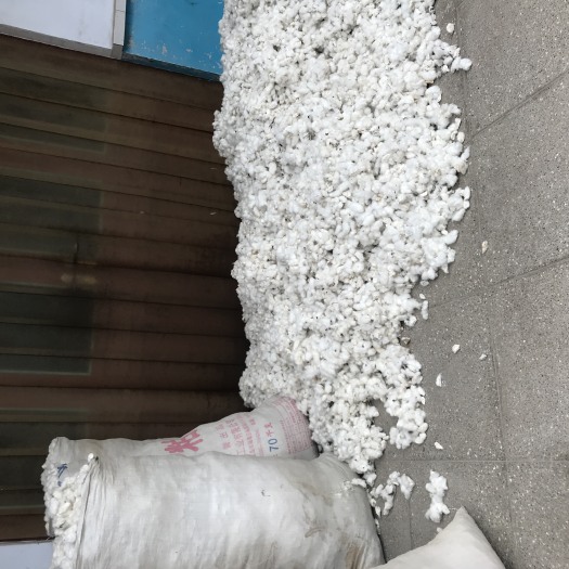 万荣县平原棉花