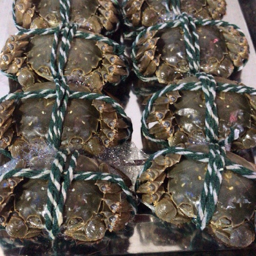长沙 江苏大闸蟹