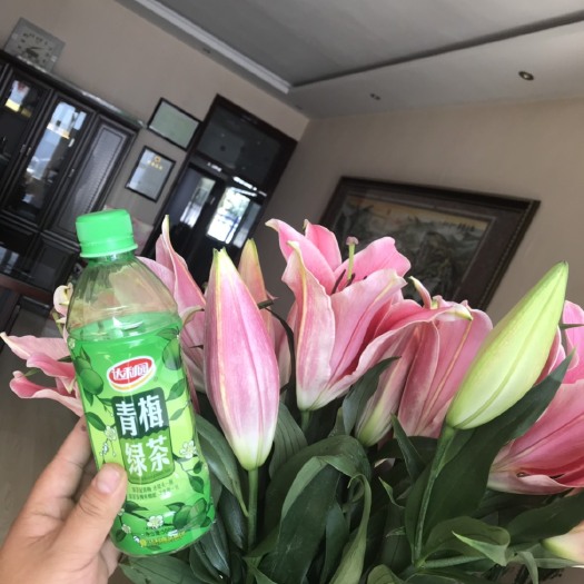 凌源市百合花 3~4