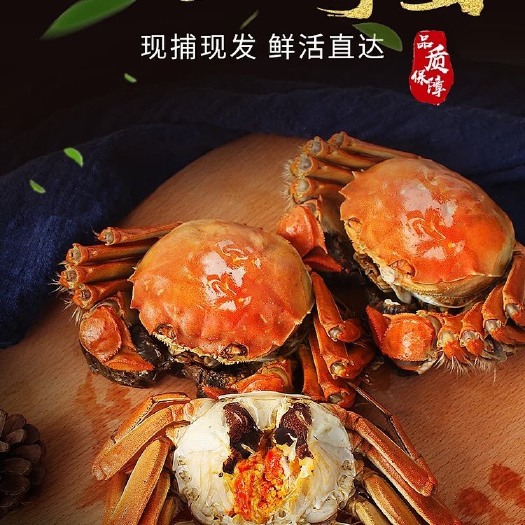 泰州 兴化红膏大闸蟹，螃蟹，2.5两母蟹，10只以上送礼盒